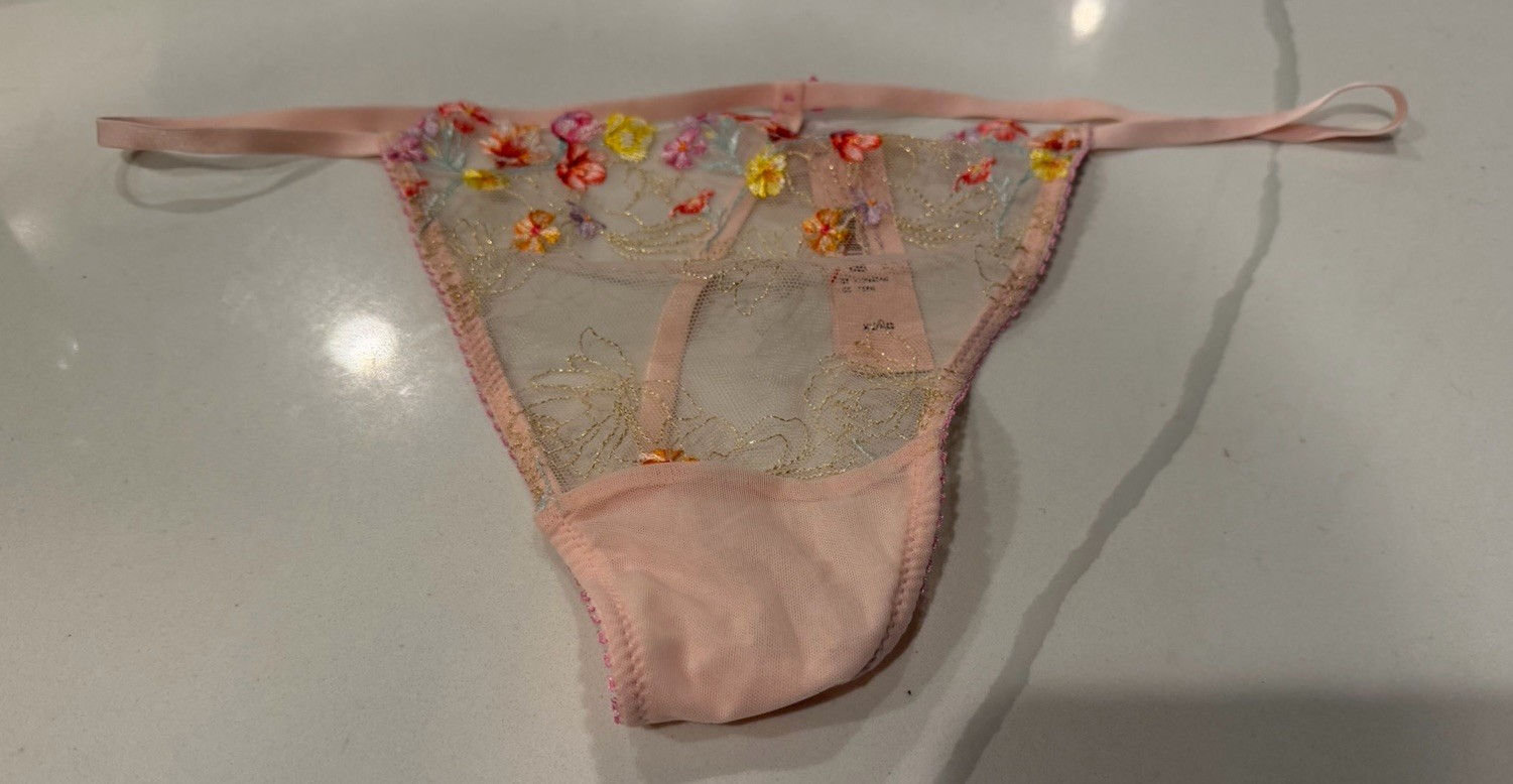 Victoria’s Secret DA Thong Panty Bloom Floral Embroidery Pink Mesh Extra Lg NWT