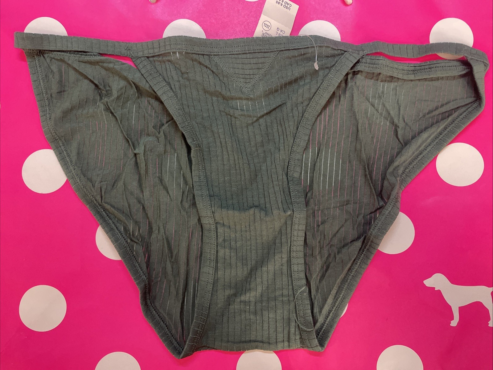 NWT AERIE AMERICAN EAGLE Modal SMOOTH Super Soft SPANDEX STRING BIKINI PANTIES L