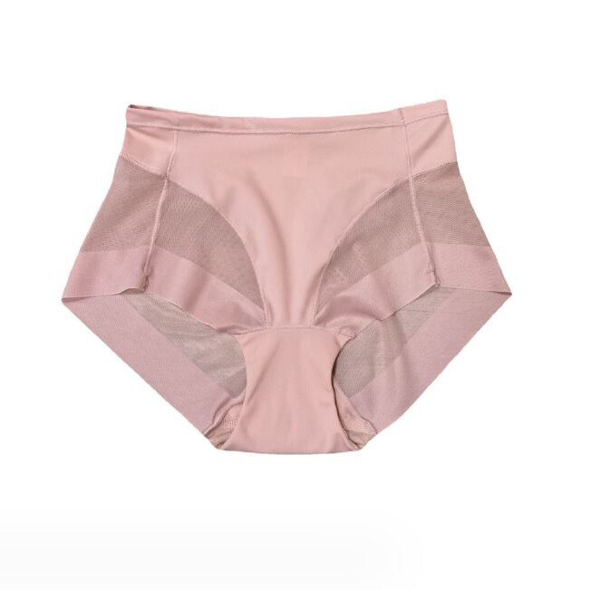 4 Packs Lot Womens Sexy Sheer See Through High Waist Panties Briefs Lingeries