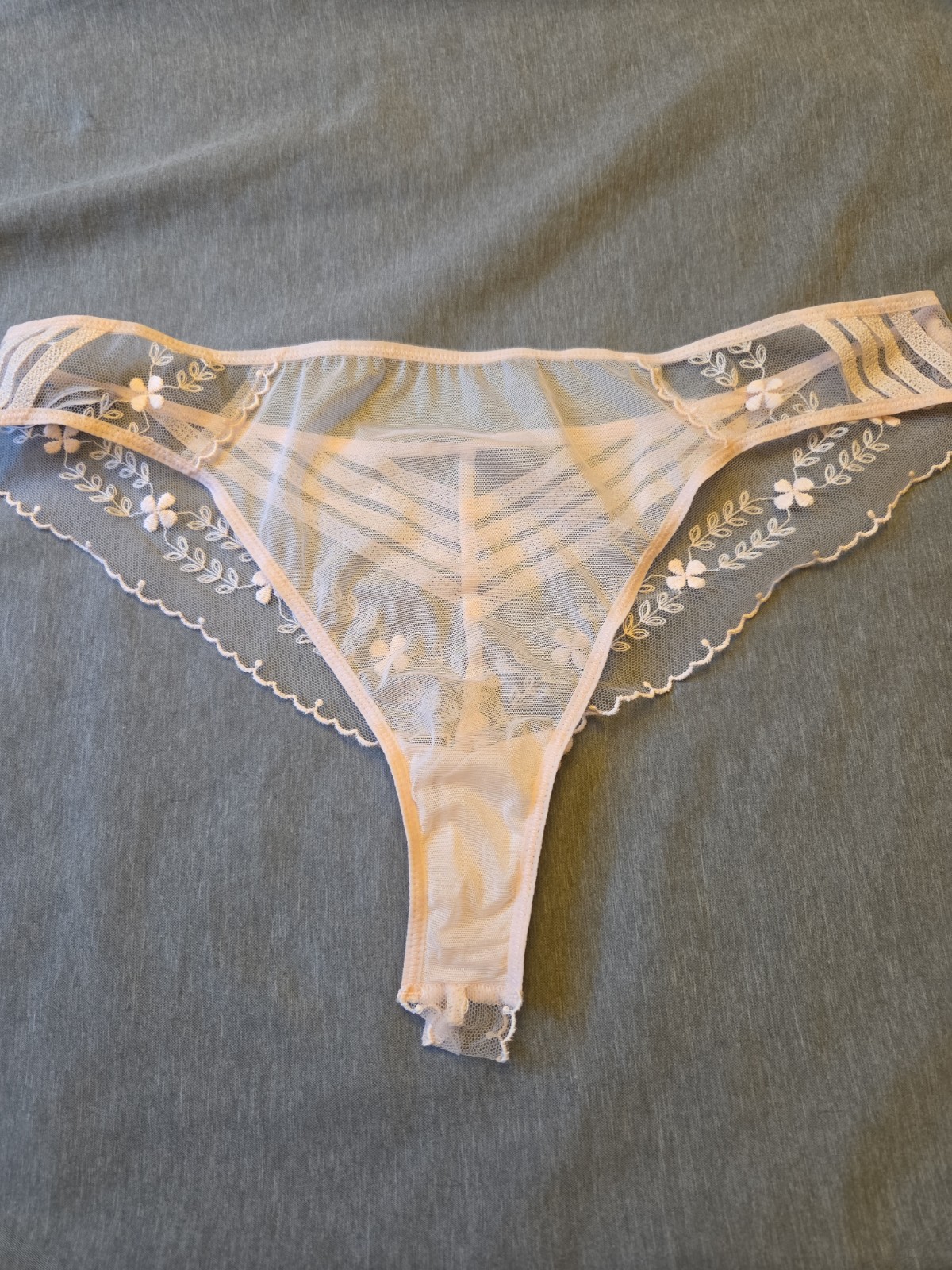 Nwot Simone Perele Sheer Thong Pink 16Z710 Sz 4