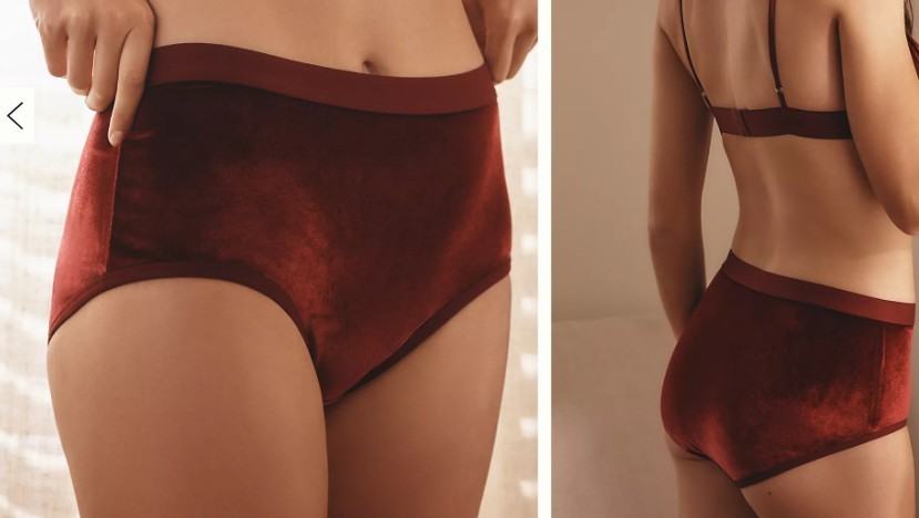 By Anthropologie Velvet Panty Briefs Underwear Sz XL Plum Retro Coquette NWT
