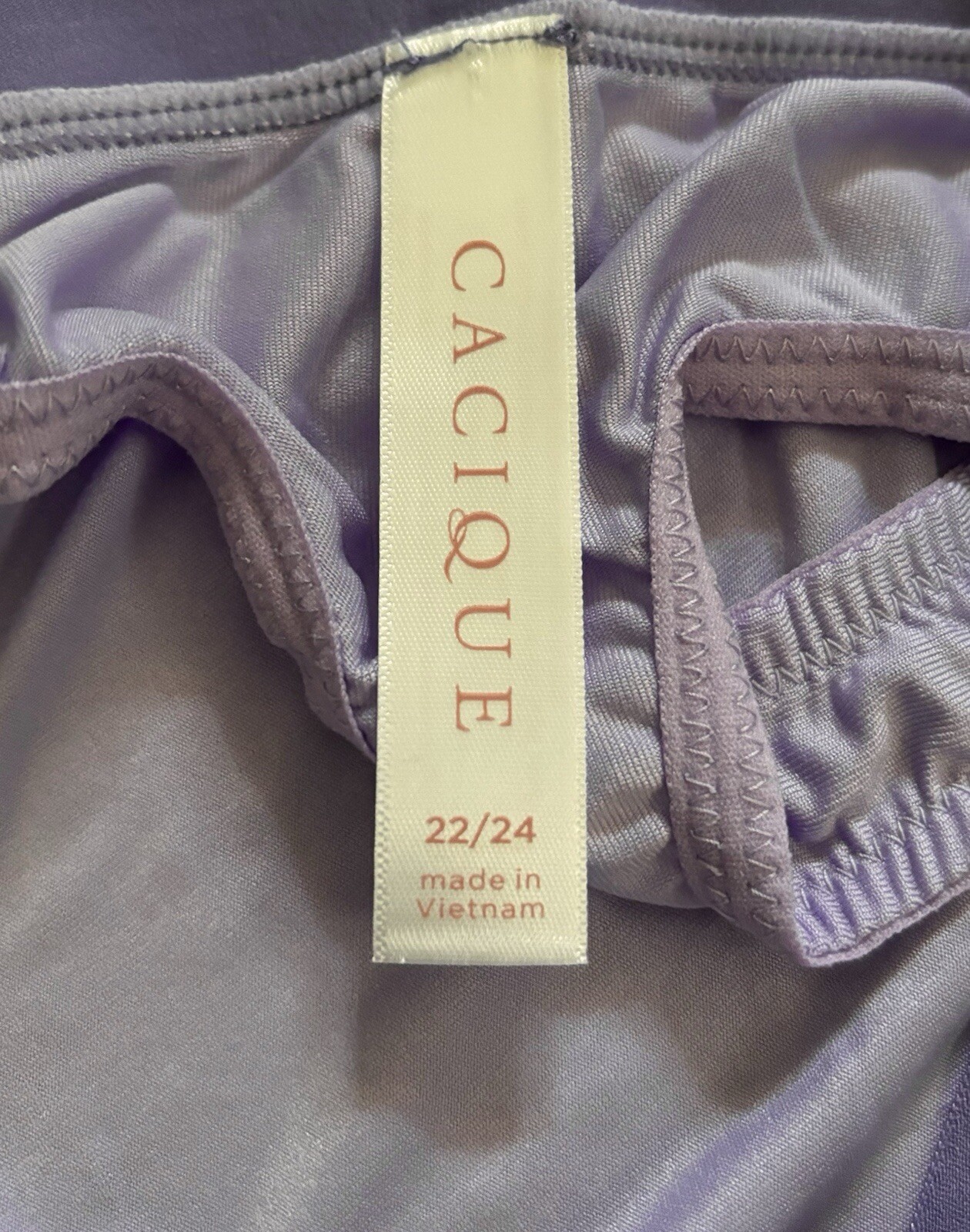 Plus Size 22/24 Lane Bryant Cacique Stretch Lace Thong Panty Lilac Embroidered