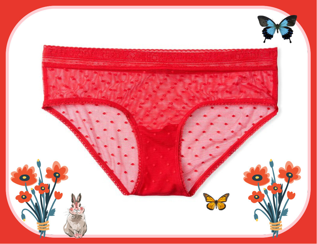XXL Brt Red Lipstick All Over Mesh Dot LOGO Victorias Secret Hiphugger Pantie