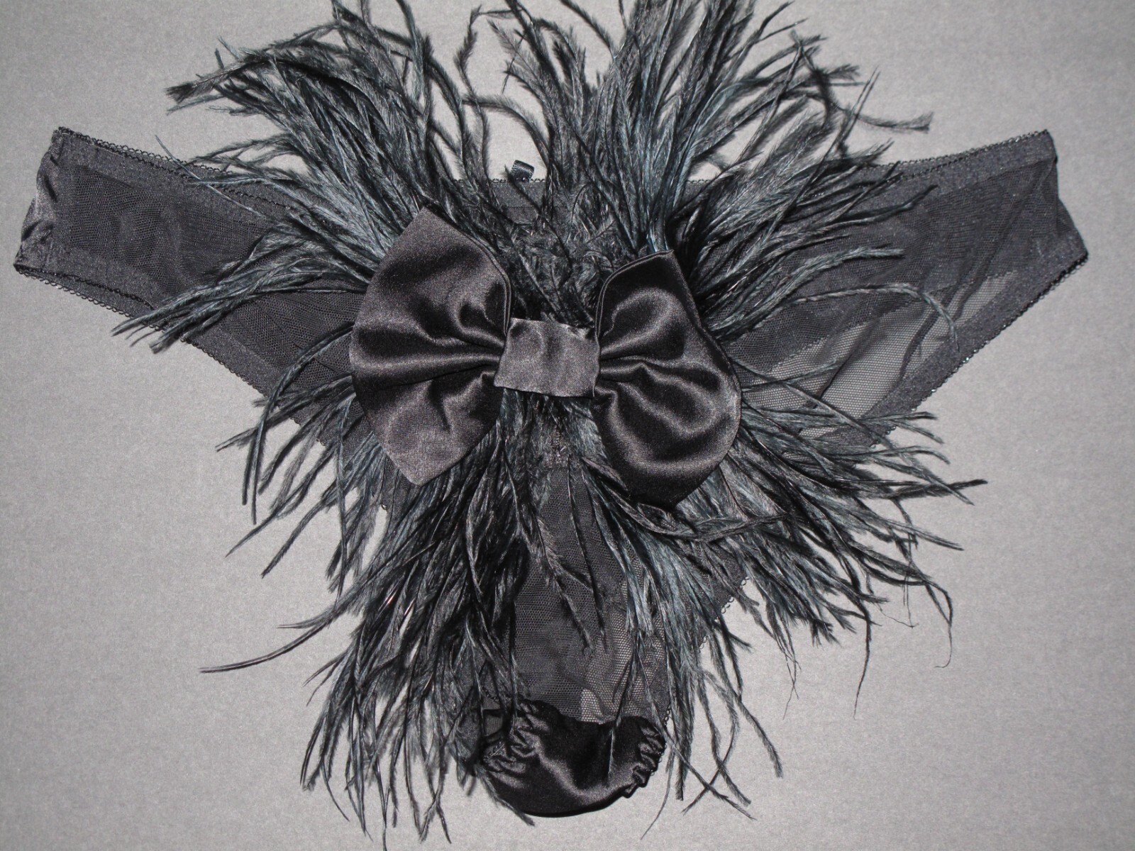 VICTORIA’S SECRET SATIN FEATHERS & EMBELLISHED PANTIES RARE
