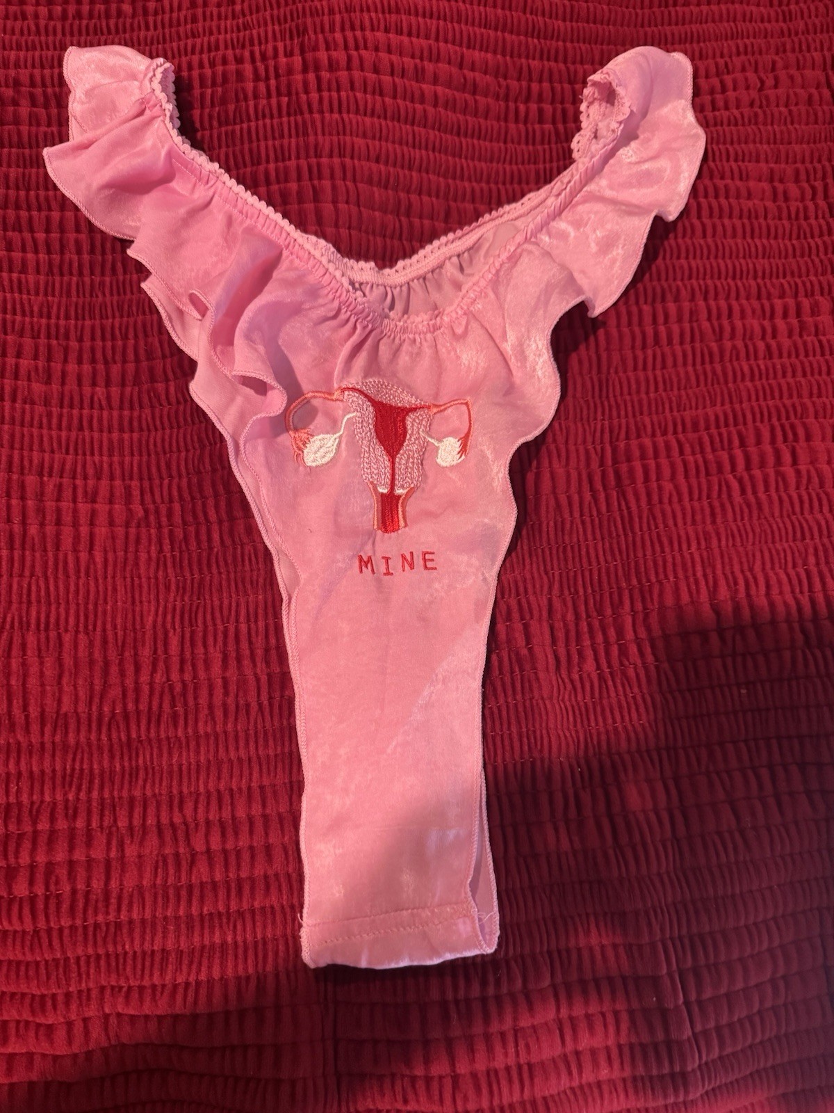 Fashion Brand Company Penelope Gazin Embroidered Uterus Vagina Panties NWOT