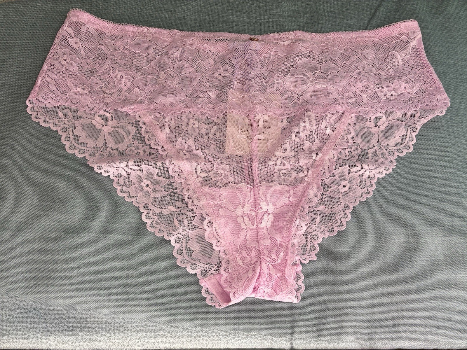 Savage x Fenty Pink Floral Lace Panty Size 1X #4326