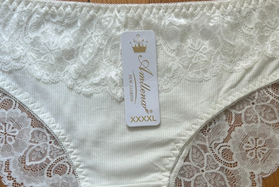 Womens M Ivory Lace Briefs Mid Rise Scalloped Edge Panties Comfort Underwear M
