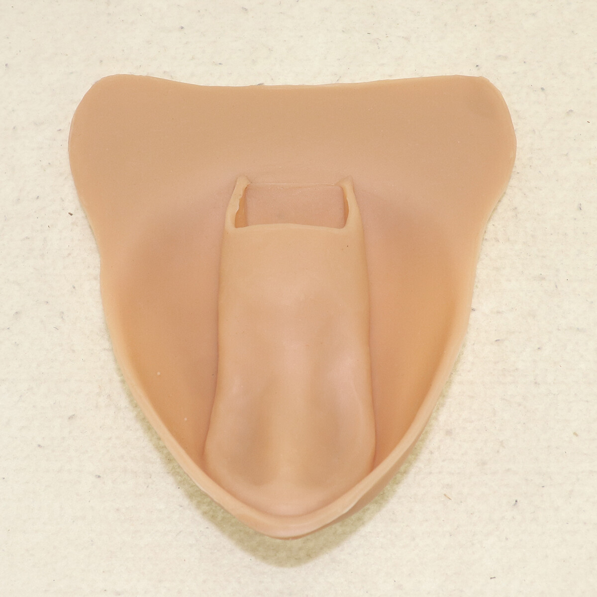 Control Panty Gaff Realistic Laides Vagina Inserted Pad Crossdresser Transgender