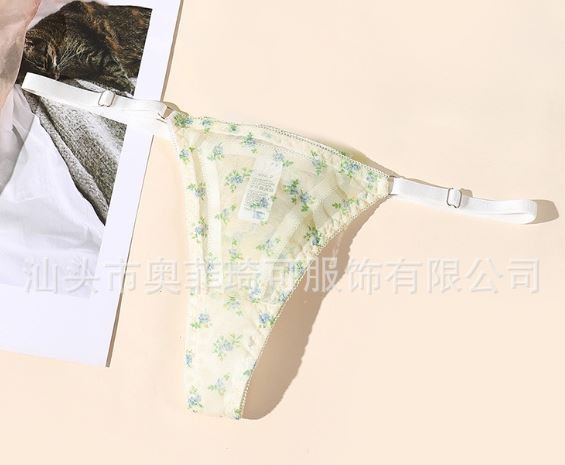 4PCS/LOT Sexy Ladies Womens Sheer See Through Panties Thongs Lingerie Underwear