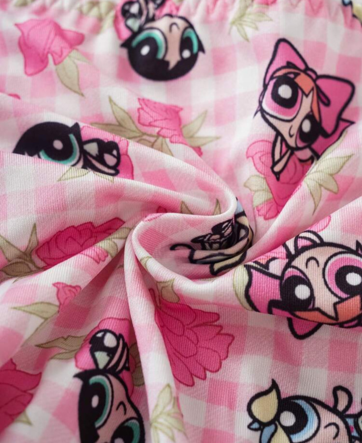 Powerpuff Girls Licensed Kawaii Y2K Cute Cartoon Brief Panties size L pack of 3