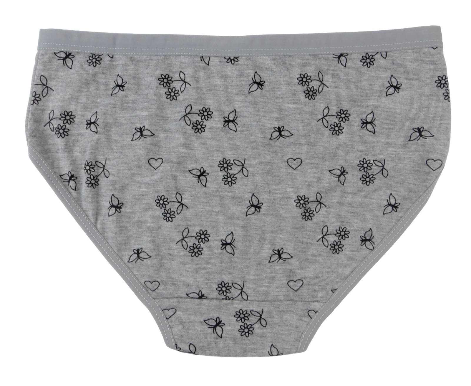 Easyweary 5 Pack Womens Cotton Floral Hipster Underwear Panties Briefs Low Rise