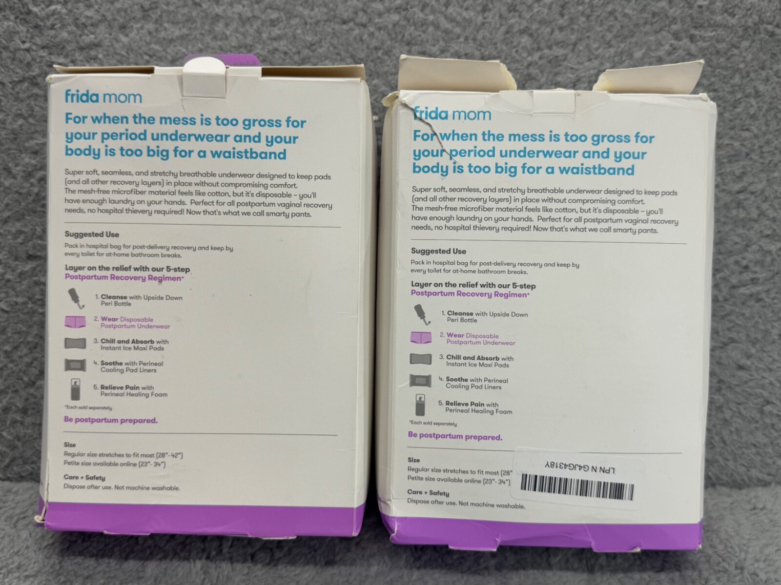 Frida Mom Disposable Postpartum Underwear Pack of 2 Boyshort Size Regular