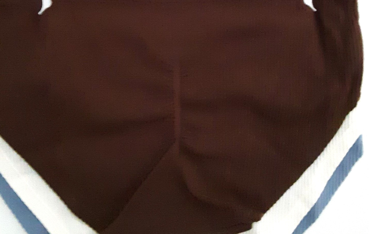 Tranquil & True Womens XL Hipsters Ribbed Back Seamless Purple Ivory Brown 3PK