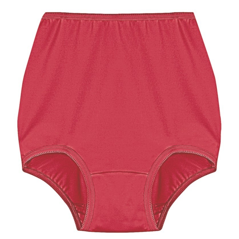 Size 15 PLUS Essentials by Anthony Richards 4 Pack Stretch Briefs Panties