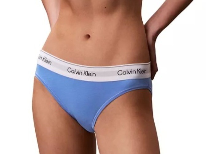 Calvin Klein Women’s Icon Cotton Bikini Underwear F3787 Blue Descent Medium