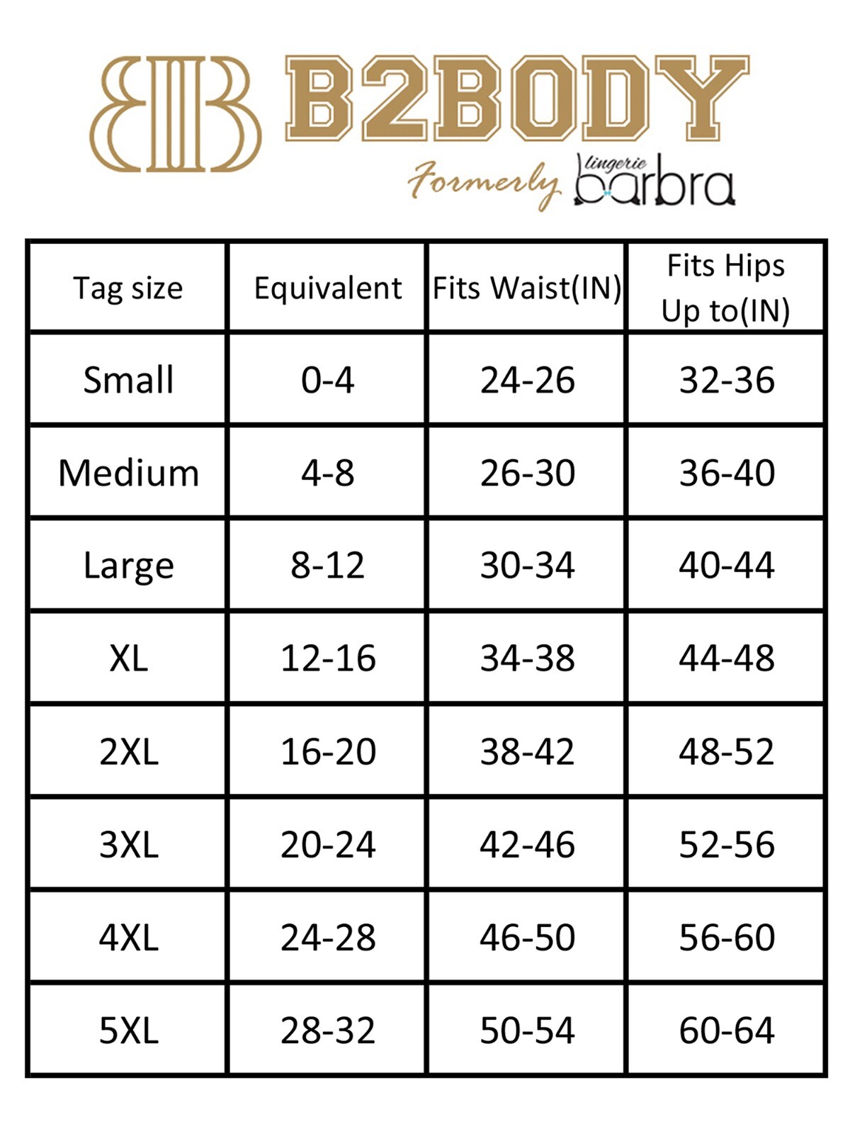 Barbra’s Seamless Laser Cut Breathable Sports Womens Panty Plus Underwear S-4XL