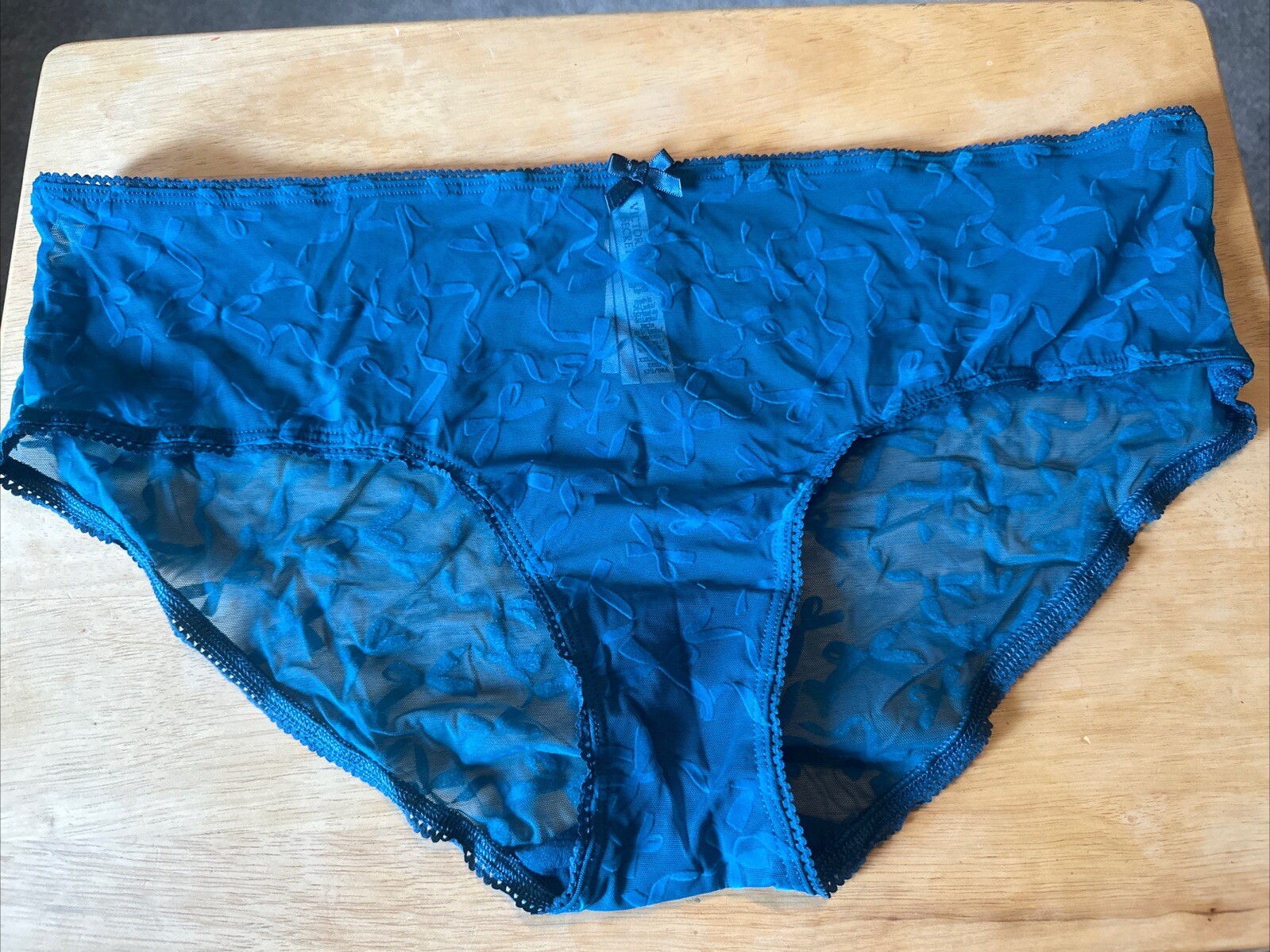NWT VICTORIA’S SECRET XXL DARK TEAL BOW FLOCKED VELVET MESH HIPHUGGER PANTY