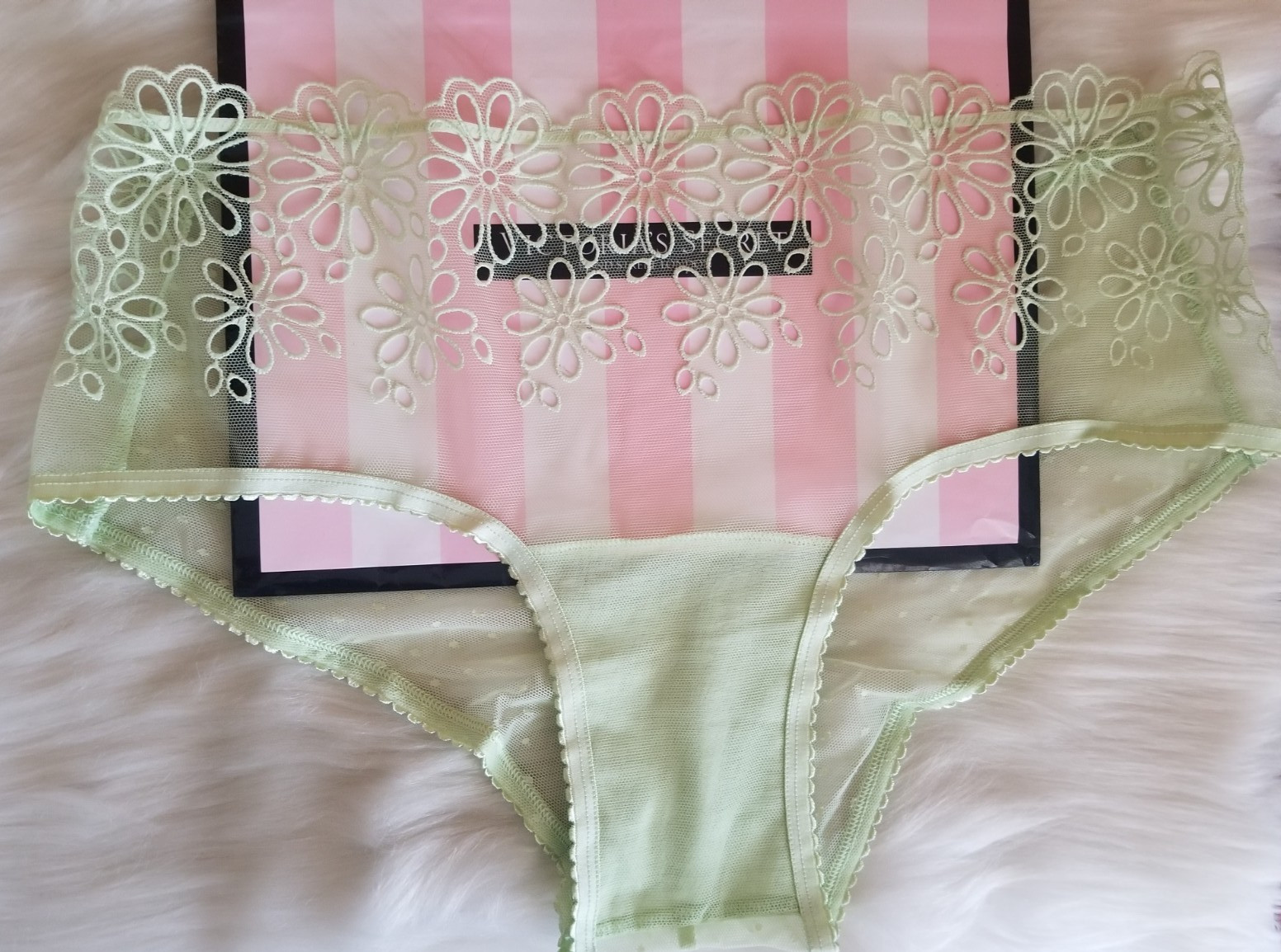VICTORIA’S SECRET EYELET FLORAL MESH CHEEKY PANTY GREEN LARGE NWT