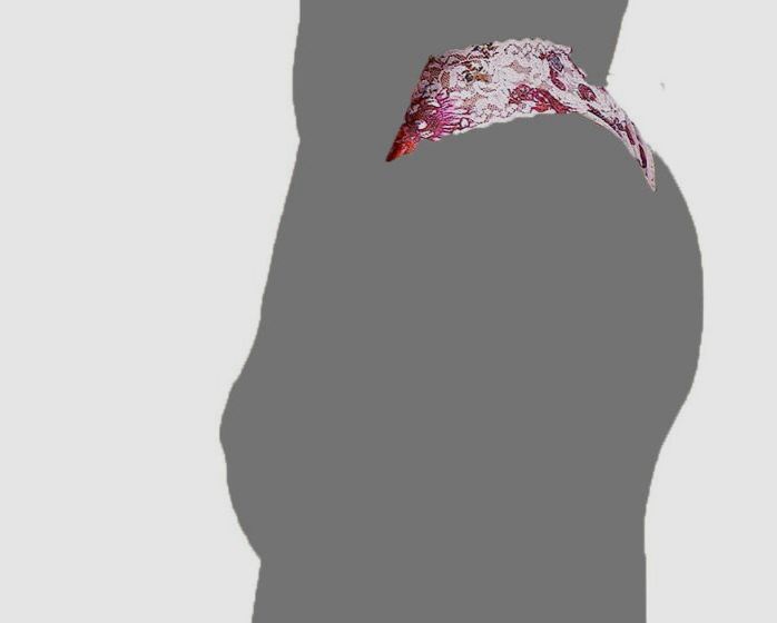 $25 Hanky Panky Women’s Pink Floral Garden Original Rise Thong Size OS(4-14)