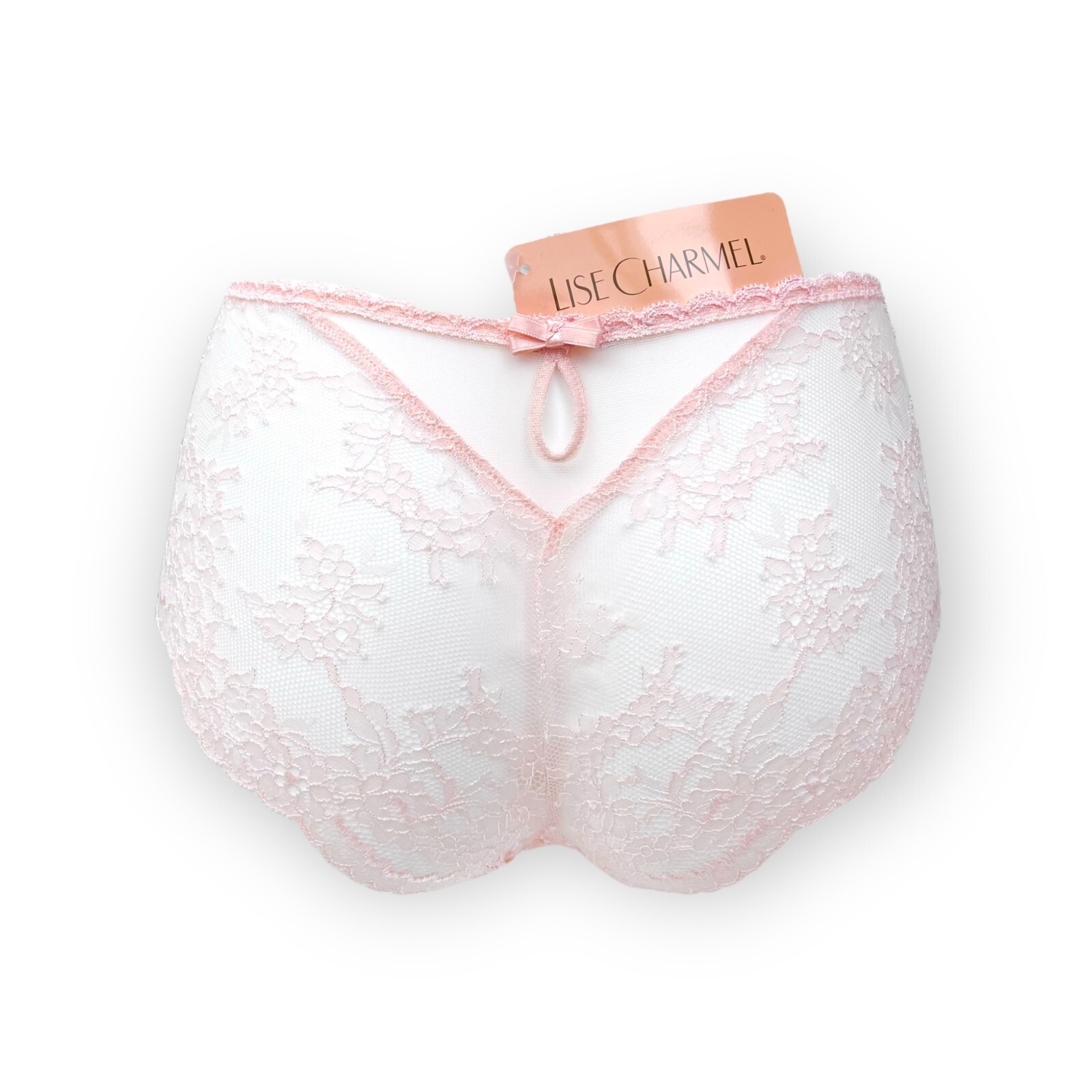 Lise Charmel Hipster Brief Refinement Precieu Rose 38 40 42 44 NWT