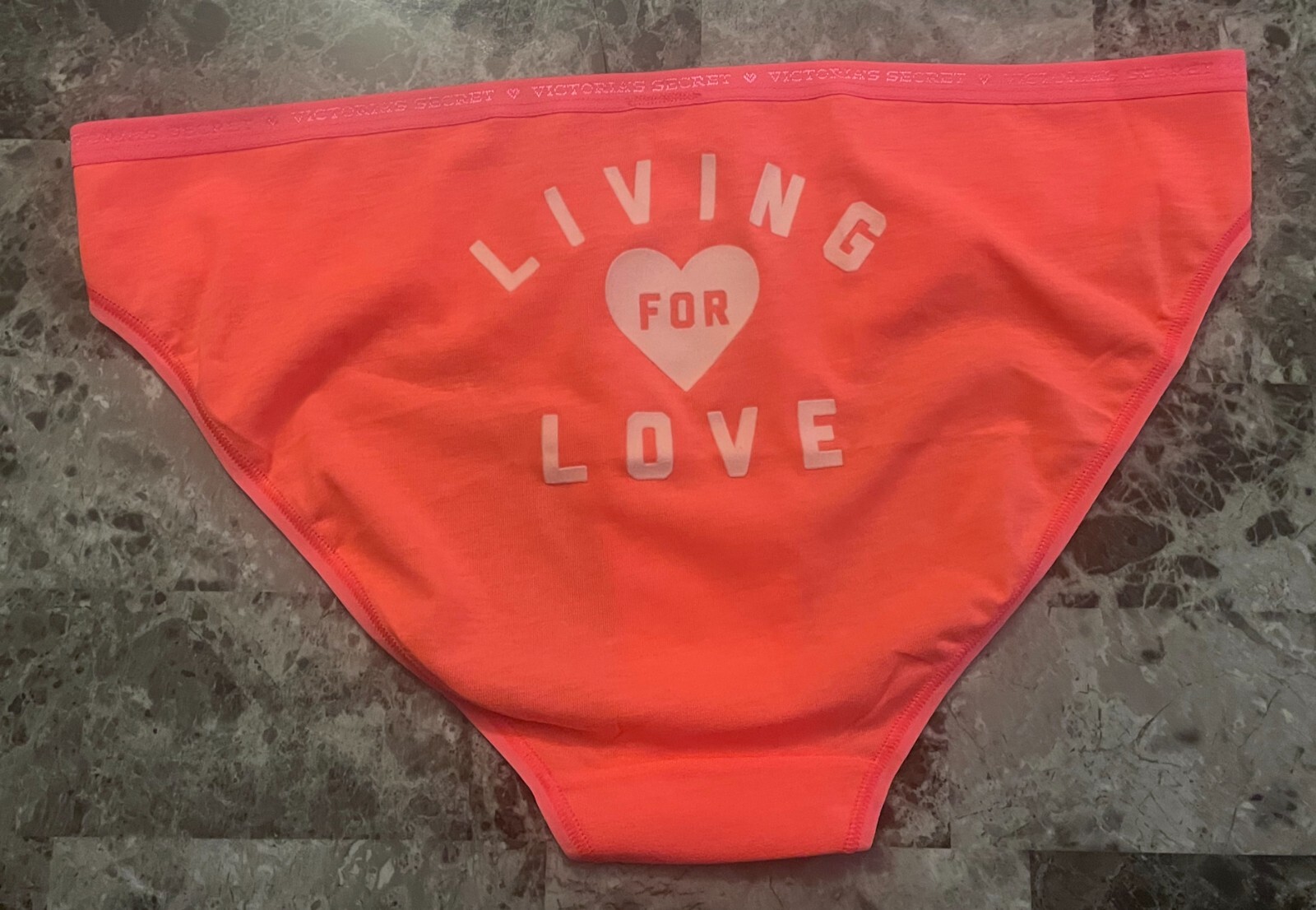 NWOT VICTORIA’S SECRET XL LIVING FOR LOVE VELVET LOGO BAND RARE BIKINI PANTIES