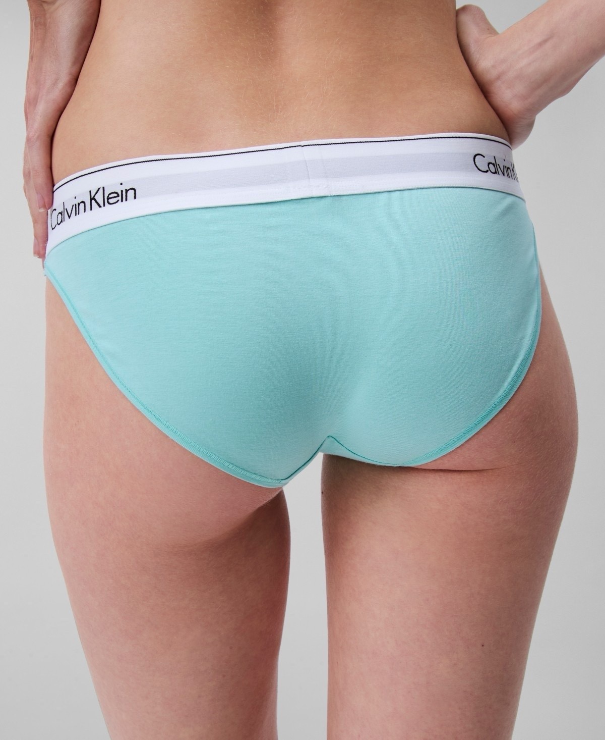 Calvin Klein Women’s Modern Cotton Stretch Bikini Panty Beau Blue XL