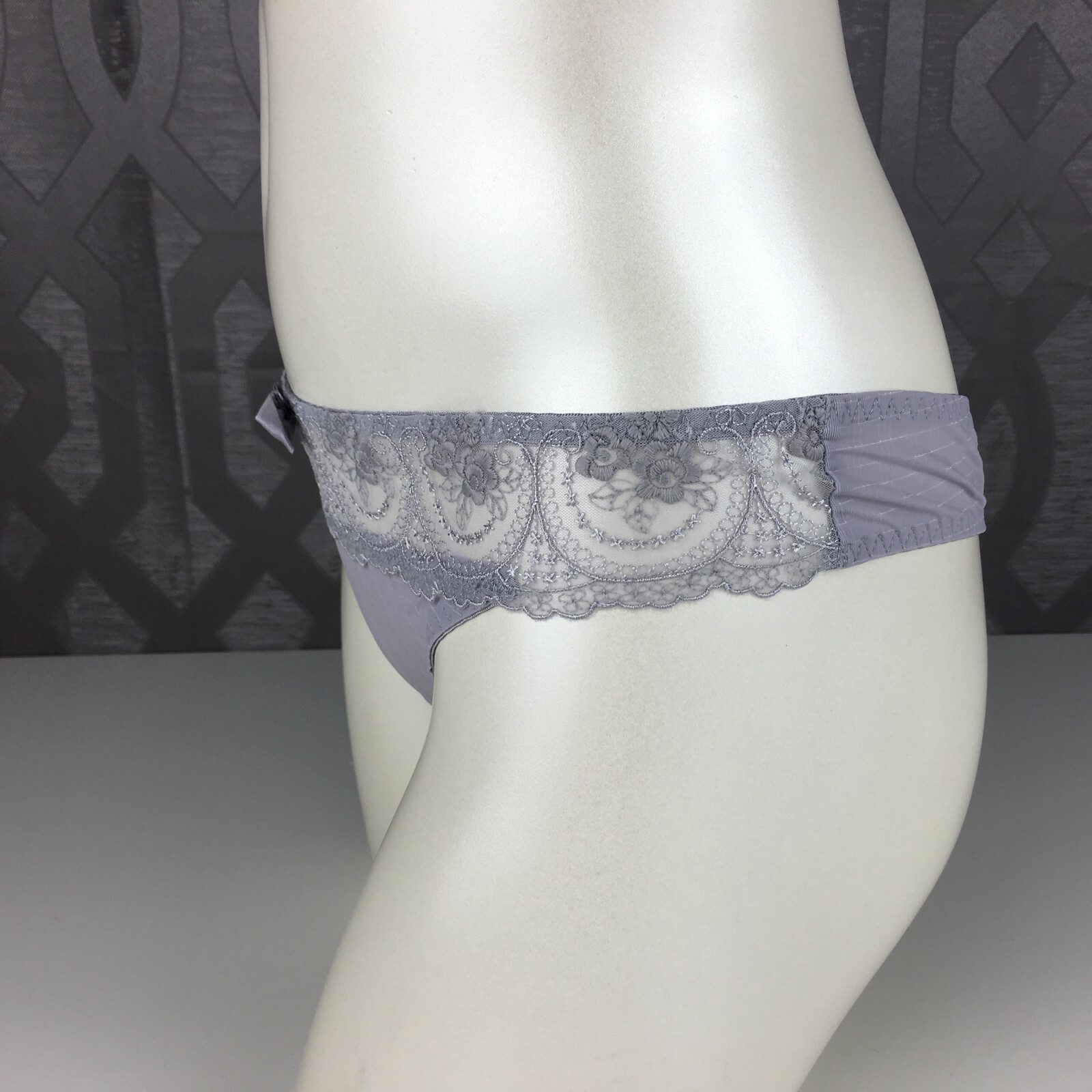 ALEGRO Soft Grey Embroidered Sheer Thong Panty Lingerie with Lace Trim – 9017D
