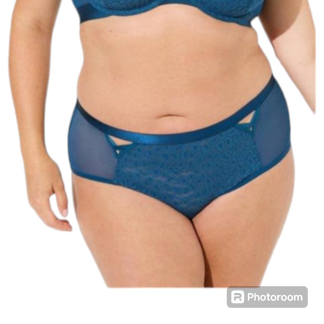 4X 26W Torrid Blue Animal Lace Cheeky Panty Lingerie Sheer Breathable Summer NWT