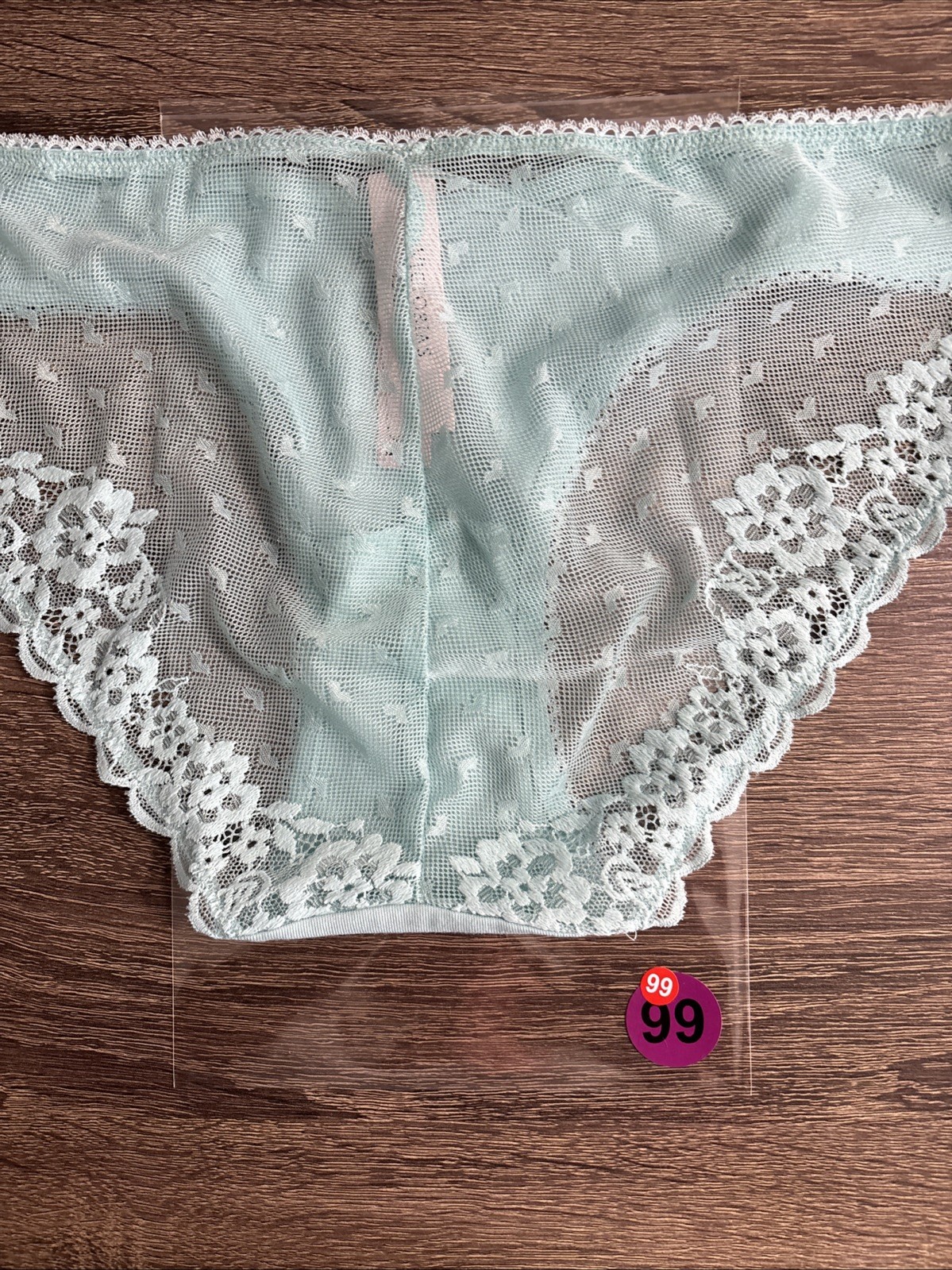 Victoria’s Secret Small Teal Blue Sheer Mesh Lace Back Bikini Panties