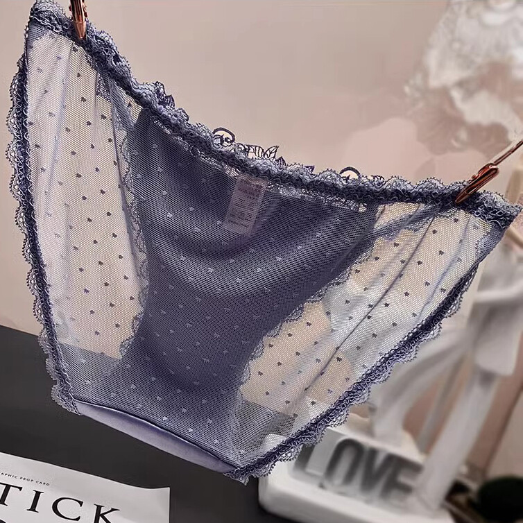 Pack Of 5 Womens Sexy Panties Satin Sheer Lace Low Rise Underwear Intimate Brief