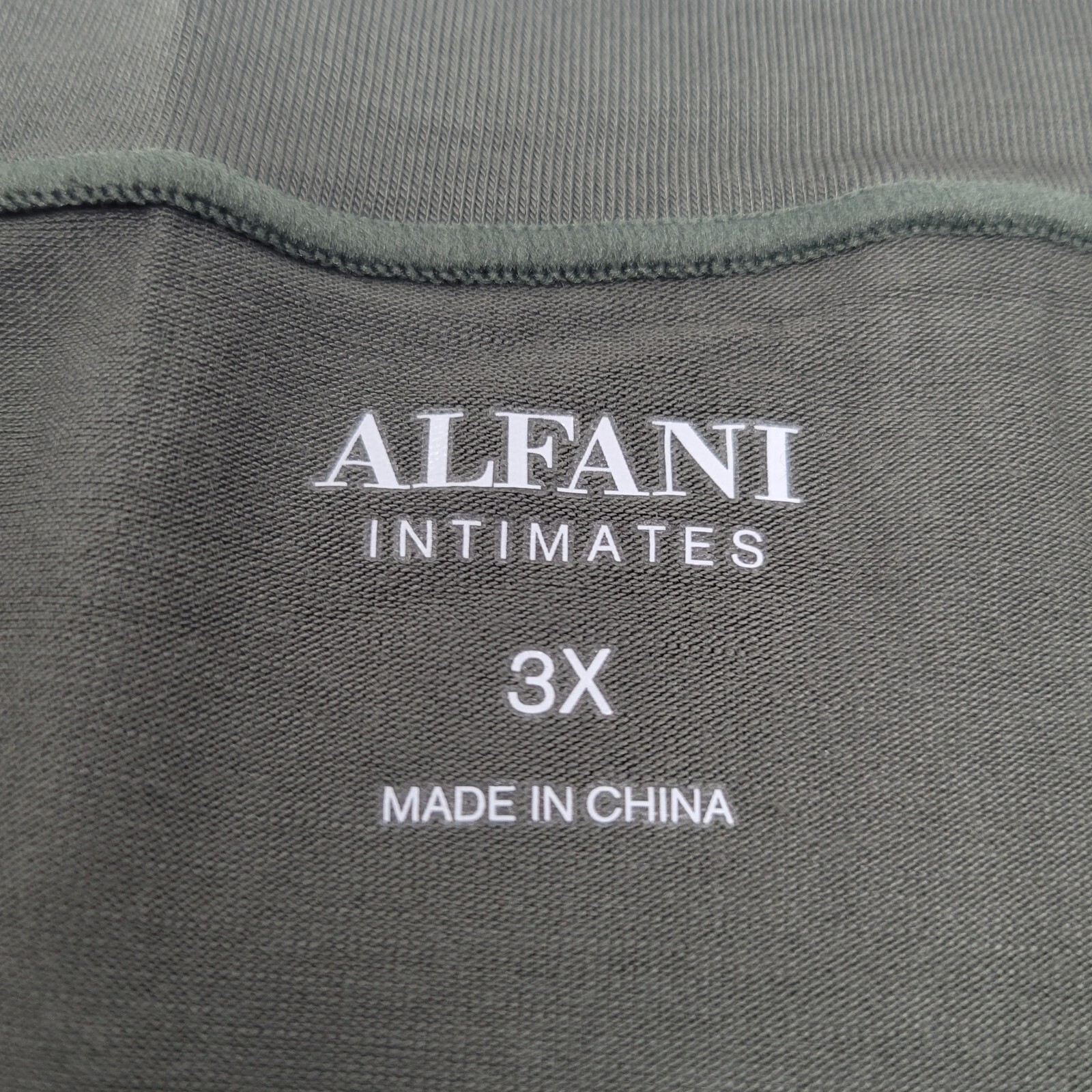 Alfani Intimates Womens Plus Size 3X Soft Rayon Panty Underwear Olive Dusk NWT