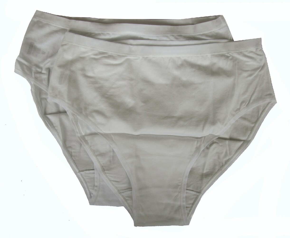 2 Pack Women Cotton Fly Briefs Medium Embroidered Smooth Bipack Arctic Spider