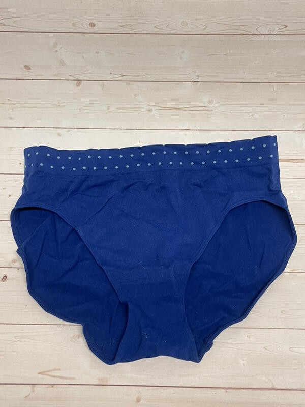 Avenue Body Hi Cut Brief Panty Set of 2 Blue Purple 14/16