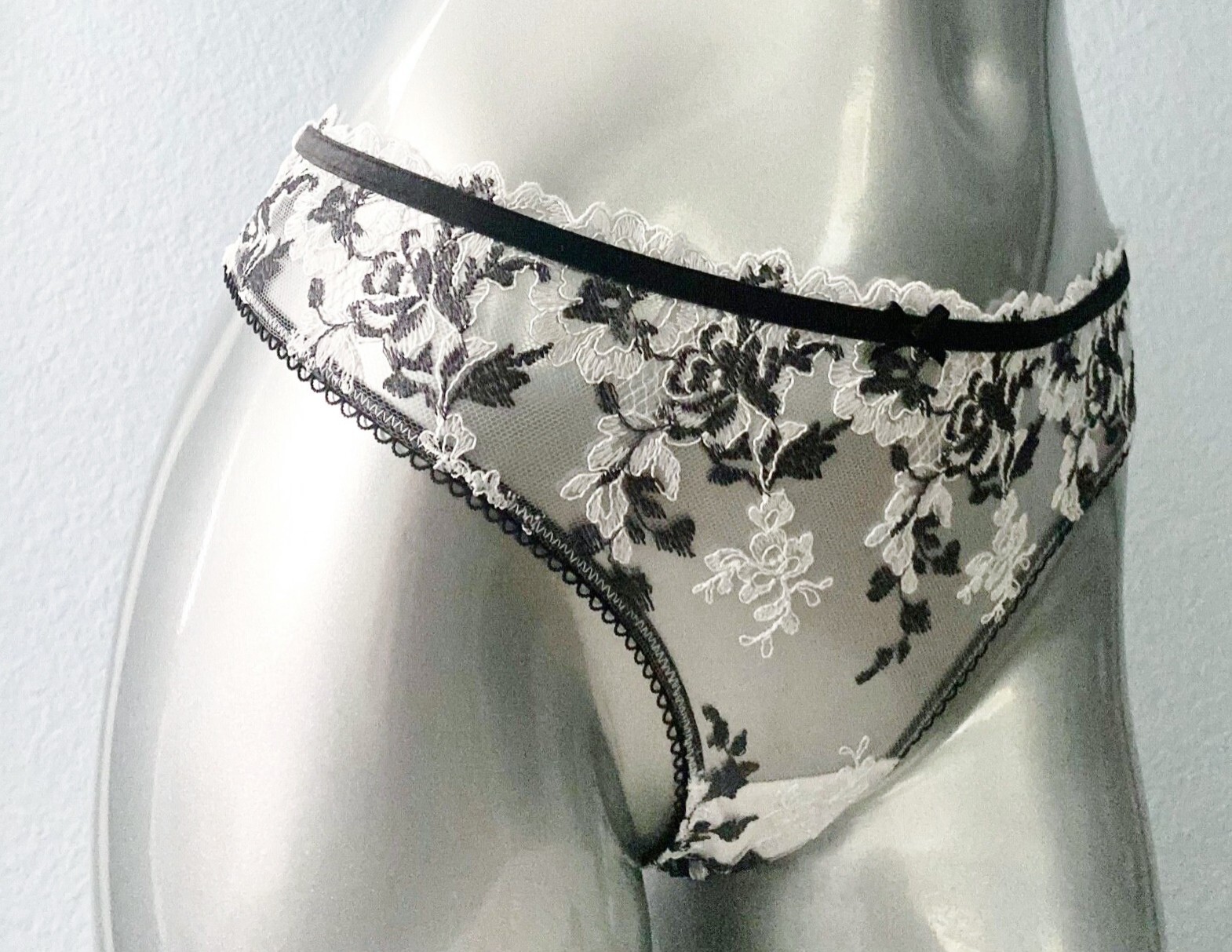 Nwt Victorias Secret Dream Angels Embroidered Lace Thong Panty L