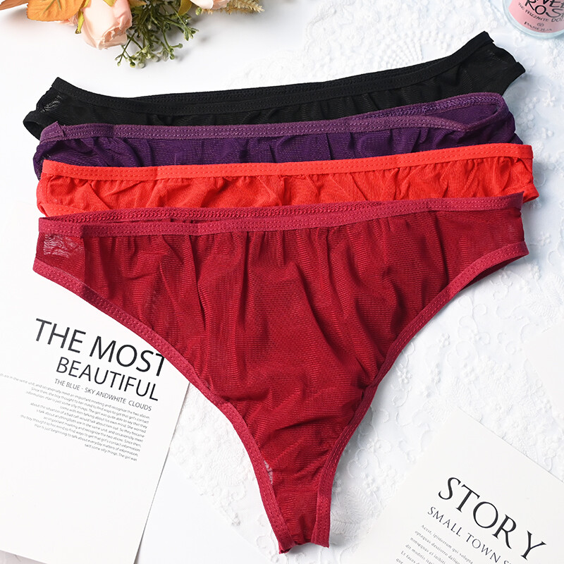 4 Pack Lot Sexy Womens Sheer Panties Brief Cheeky Mesh See Through Men Underwear