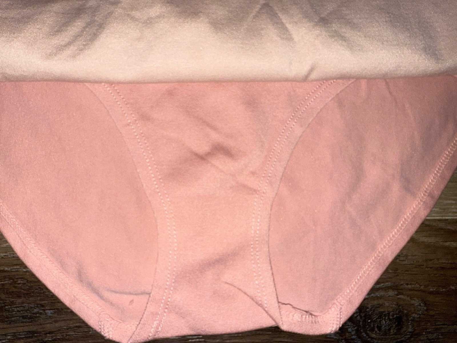 Laura Ashley ~ Womens Brief Underwear Panties 5-Pair Polyester Nylon Blend ~ 1X