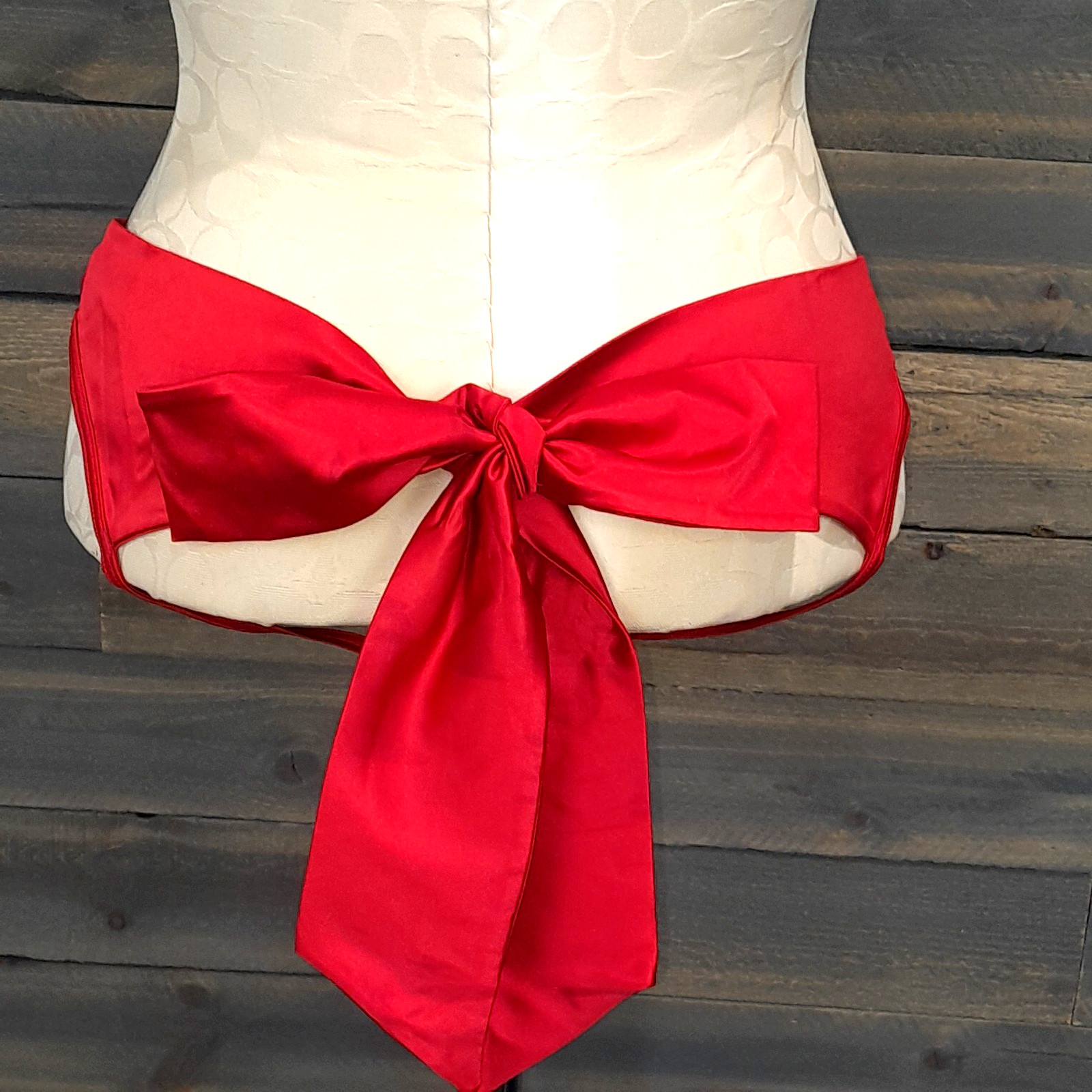 Adore Me Bikini Panties Womens L Lipstick Red Liquid Satin Shine Bow Tie NWT