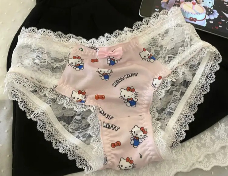 Sanrio Women’s Hello Kitty Cute KT Cat Design Cartoon Bikini Brief Panty M/L