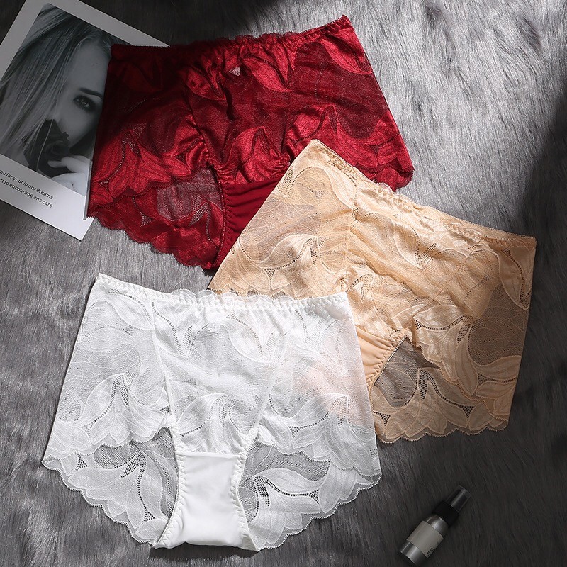 3 Pcs Lot Women’s Sexy Bikini Hipster Briefs Panties Floral Full Lace Underwear